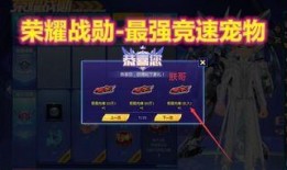 飞车战勋最新爆料,揭秘游戏内神秘势力与全新玩法